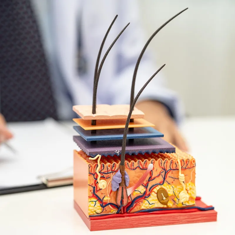 medicinsk hälsokontroll